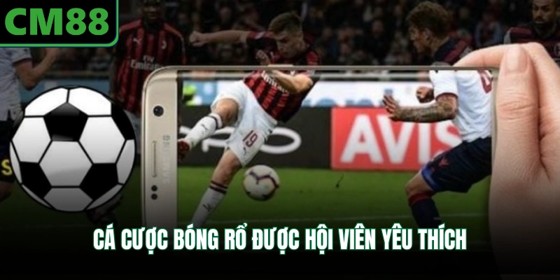 Cá cược bóng rổ được hội viên yêu thích